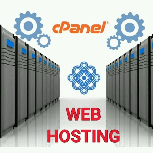Unlimited Domains Wordpress Ssd Website Hosting Cpanel Web Hosting