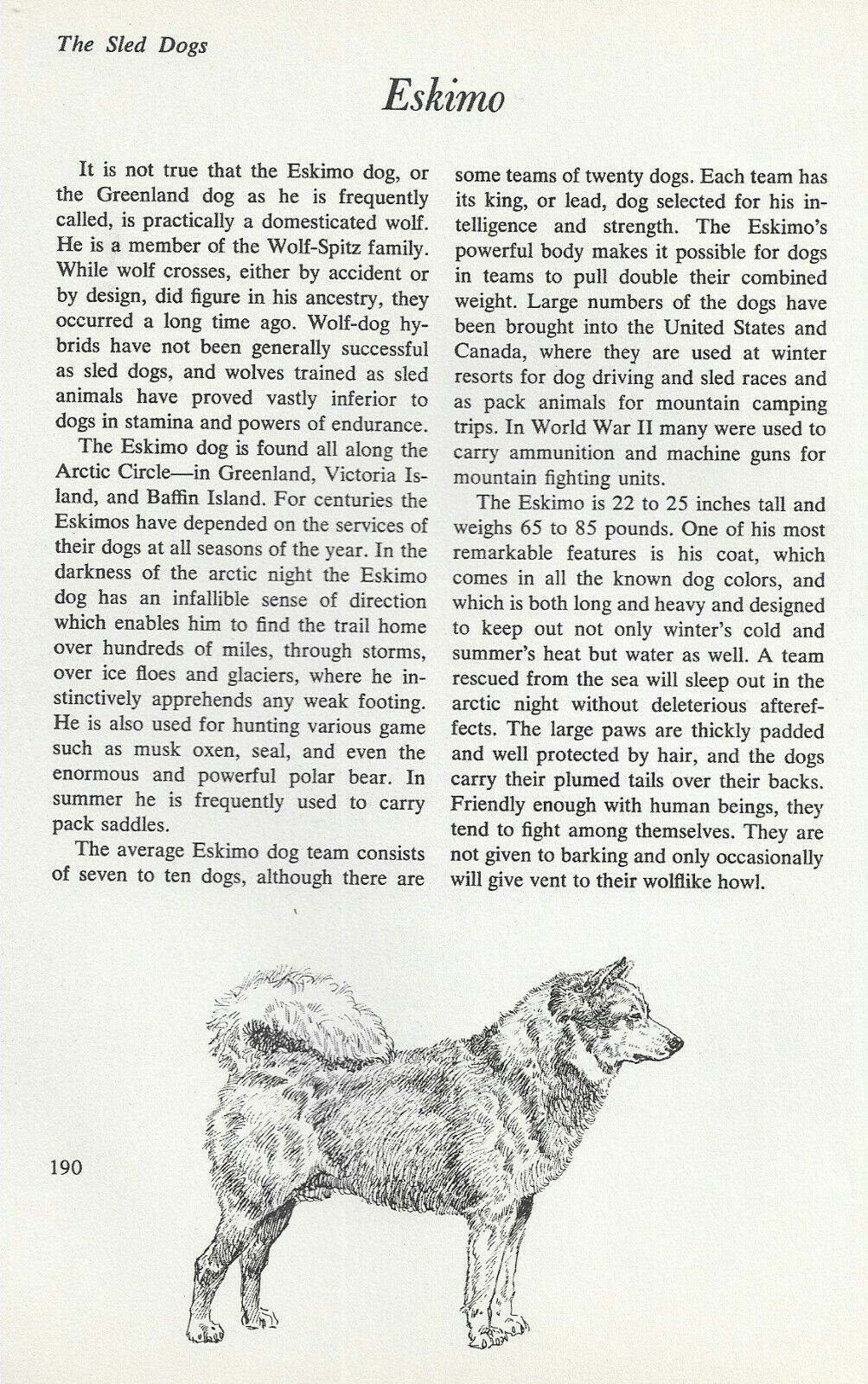 The Eskimo - Custom Matted - Vintage Dog Art Print - "g"